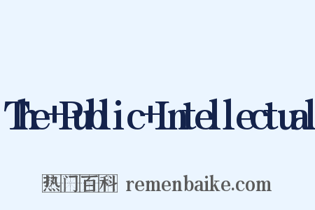 The Public Intellectual是什么意思的图片